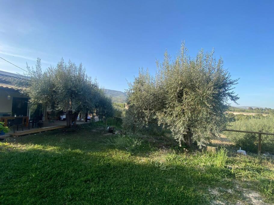 Vila Casaruibella Moratalla  Exteriér fotografie