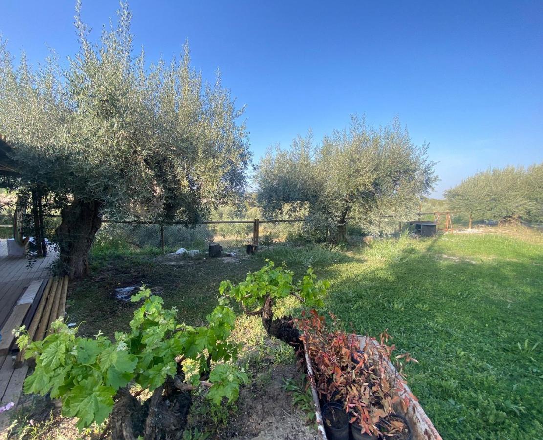 Vila Casaruibella Moratalla  Exteriér fotografie