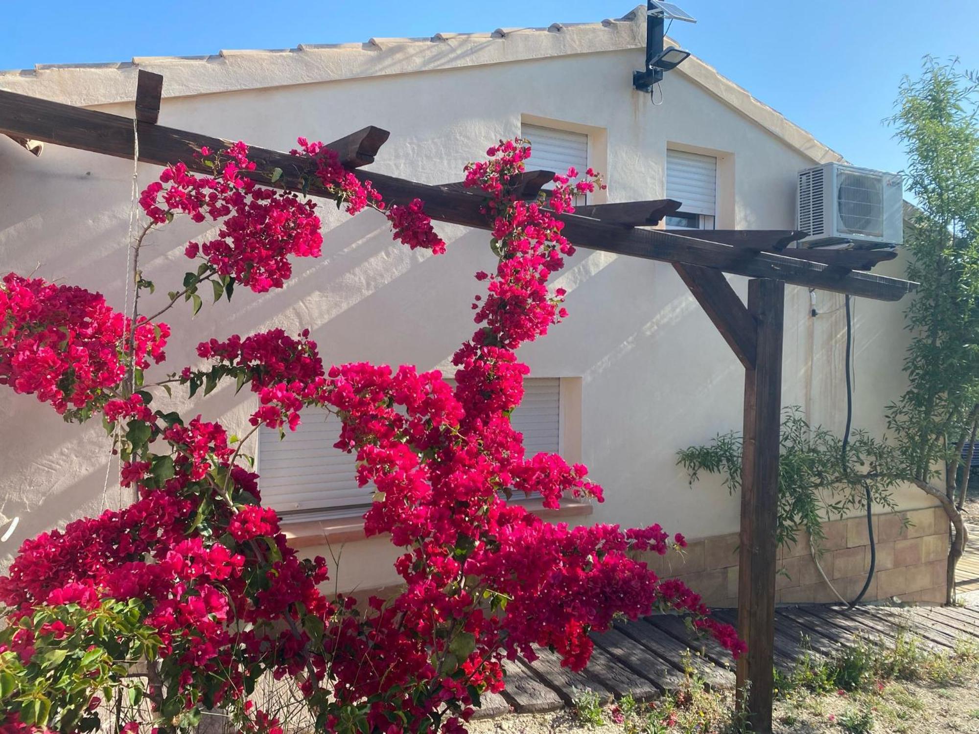 Vila Casaruibella Moratalla  Exteriér fotografie